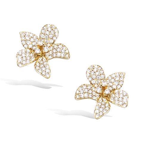 "Ocean Star" oorbellen